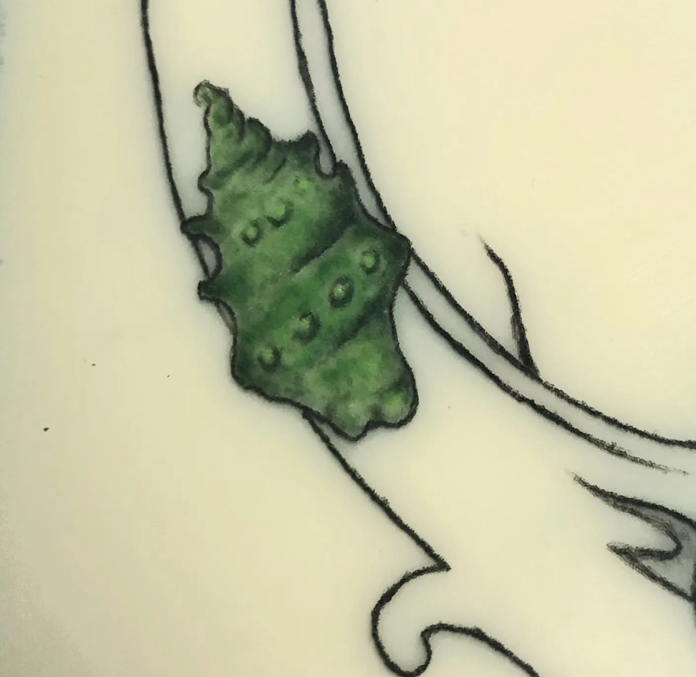 Tatuaggio di una piccola conchiglia verde