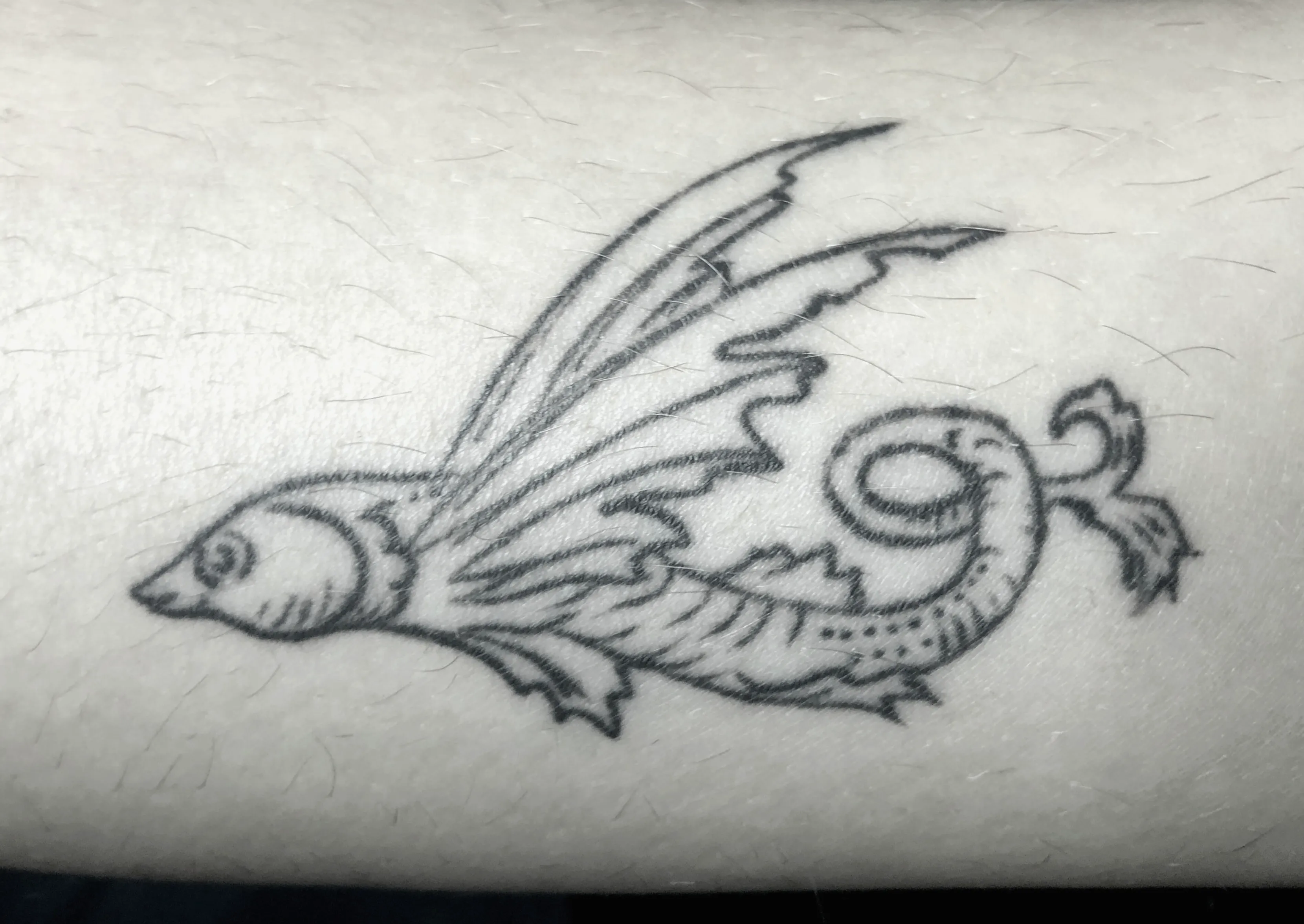 un tatuaggio raffigurante una pesce solo linea