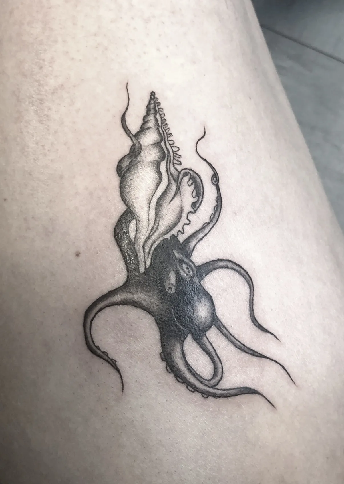 tattaggio di un polpo con una conchiglia